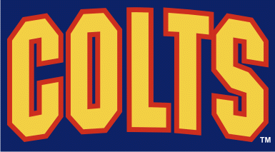 Barrie Colts 1994-pres wordmark logo iron on transfers for T-shirts